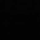 Moldeador Pro Cintura y Glúteos