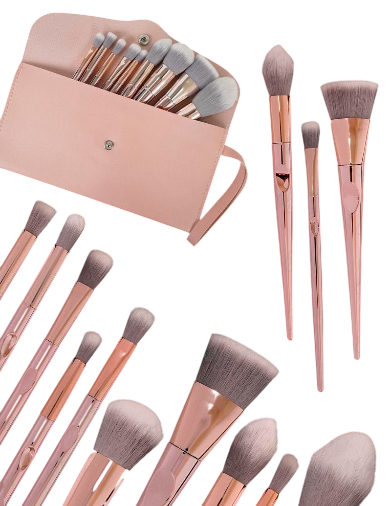 Kit Brochas Profesional x10 con Estuche Concha