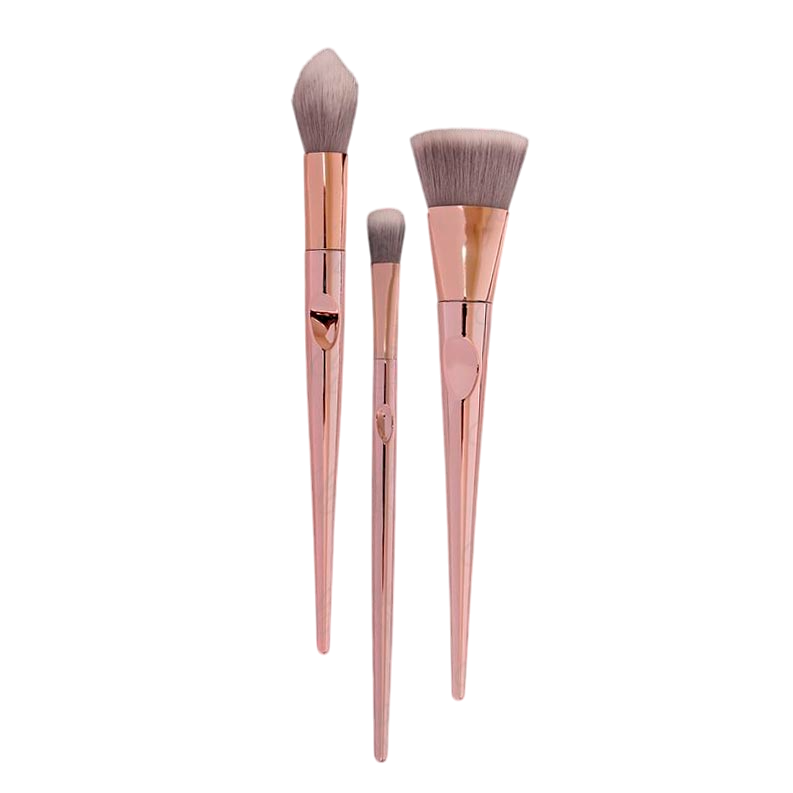 Kit Brochas Profesional x10 con Estuche Concha